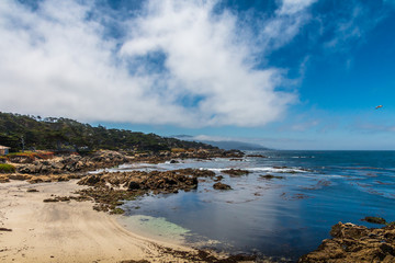 Ocean view of a curved beach, rocks and cypress tree. The sky and ocean is blue. There are white clouds in the sky. The beach, rocks and ocean are in the foreground