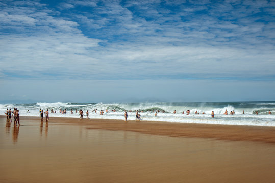 Sc&egrave;ne de vie Oc&eacute;an, baignade