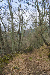 landscape in La Vera, Cáceres, Extremadura