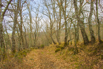 landscape in La Vera, Cáceres, Extremadura