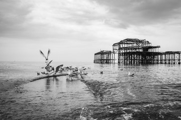 derelict pier with seagulls