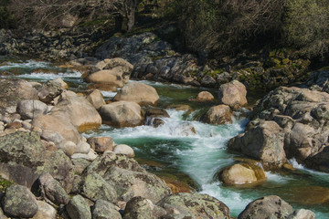 River with many stones