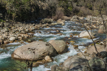 Fototapeta na wymiar River with many stones