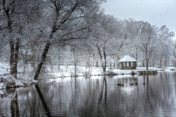 Winter Pond