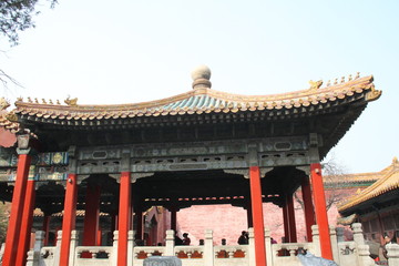 pagoda in asia in spring 