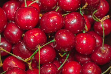Ripe red cherry