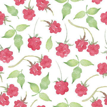 Watercolor Seamless Pattern with Raspberry Isolated on White Background