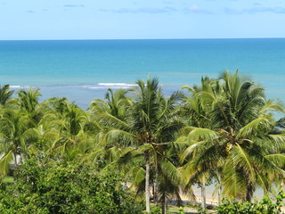 coqueiros