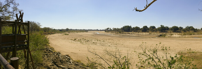 Limpopo river crossing the desert landscape of Mapungubwe National Park, travel destination in South Africa. Braided Acacia and huge Baobab trees with red sandstone cliffs