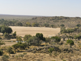 Limpopo river crossing the desert landscape of Mapungubwe National Park, travel destination in South Africa. Braided Acacia and huge Baobab trees with red sandstone cliffs