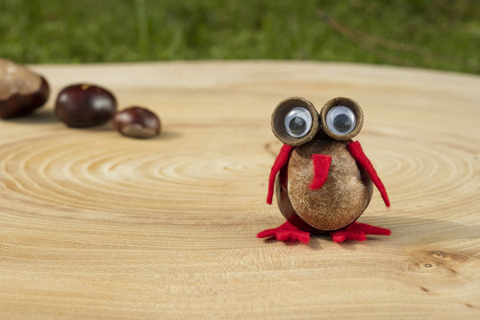 Funny owl shape character or figurine made with chestnuts on a wooden background in a sunny day.
