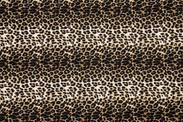 wild animal pattern background or texture
