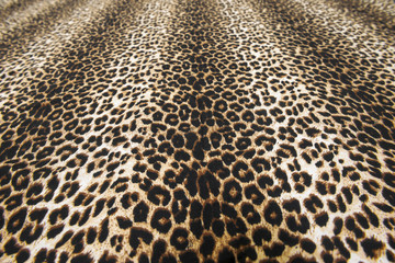 wild animal pattern background or texture