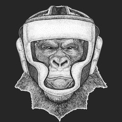 Athletic animal Gorilla, monkey, ape Boxing champion. Print for t-shirt, emblem, logo. Martial arts. Vector illustration with fighter. Sport competition.