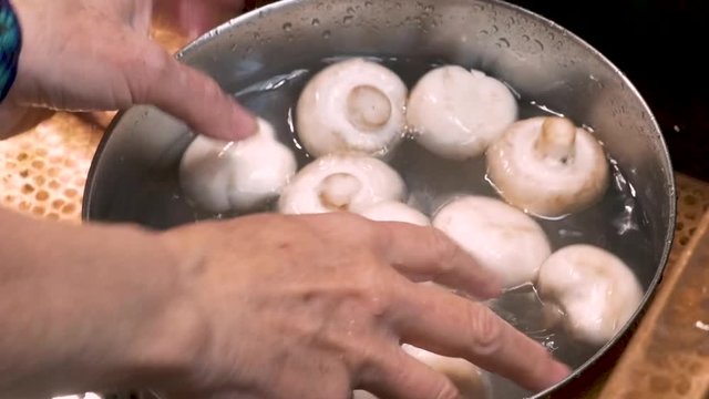 Close up of hands washing off white mushrooms in water
