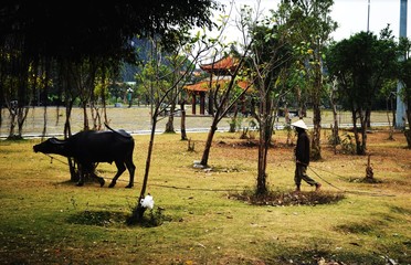 Hoa Lu, Wietnam © Joanna