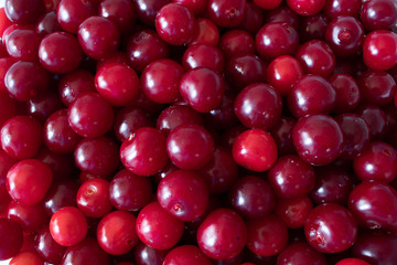 Close up of cherrys