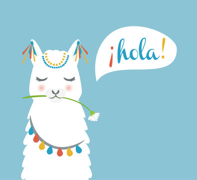 Cute llama head saying hola. Llama face for poster, cards and invitations vector illustration.