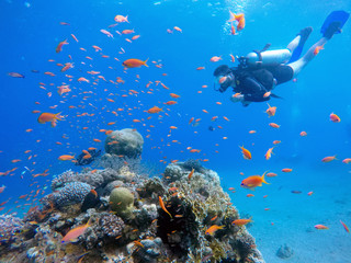Fototapeta na wymiar Diver swim under the water
