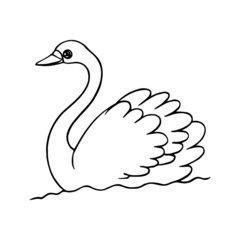 Swan cartoon illustration isolated on white background for children color book