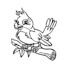 Sparrow cartoon illustration isolated on white background for children color book