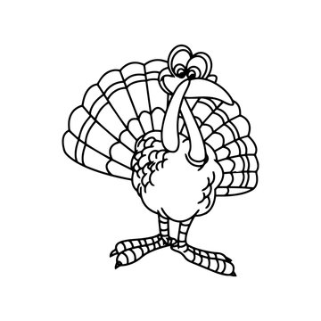 Turkey cartoon illustration isolated on white background for children color book