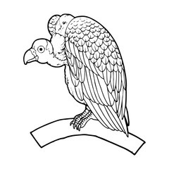 Vulture cartoon illustration isolated on white background for children color book