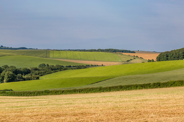 Fototapeta na wymiar Fields in Sussex on a sunny summer's day