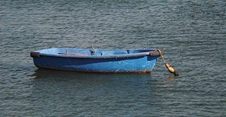 Pequeno barco azul parado no meio de um rio