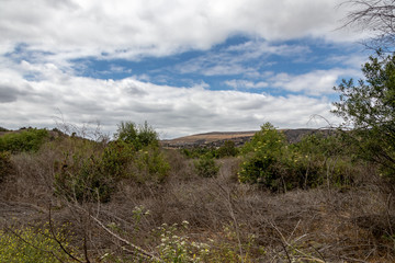 Landscape of Carbon Canyon in Orange County California 