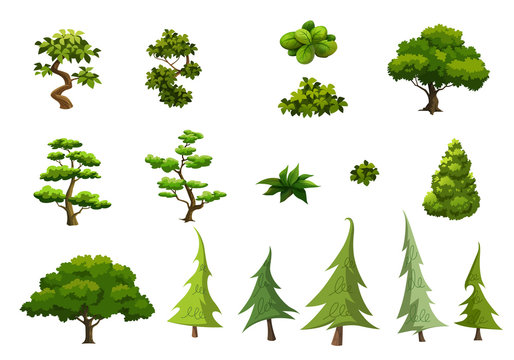 Illustration of trees  isolated on white background
