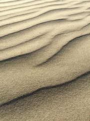 Fine Sand Textured Background 
