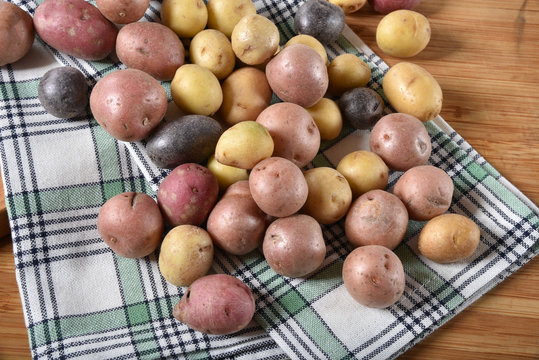 Multi-colored tiny potatoes