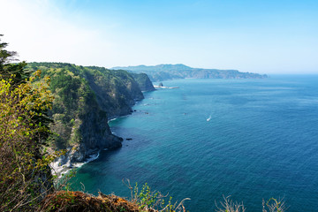 【岩手県田野畑村】新緑の鵜の巣断崖は足が竦むような断崖絶壁