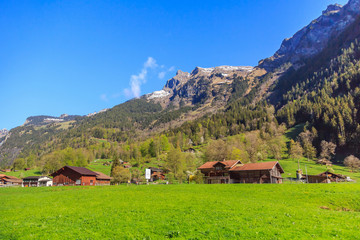 Beautiful nature view on the way to Grindelwald