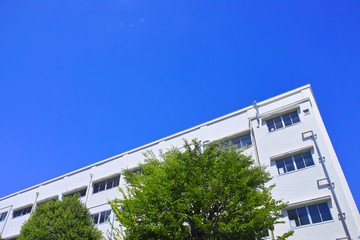 新緑と校舎のイメージ

