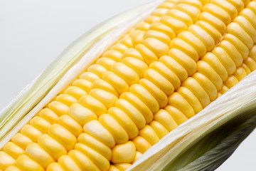 corn isolated on white background, closeup top view.