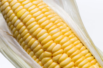 corn isolated on white background, closeup top view.