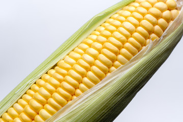 corn isolated on white background, closeup top view.