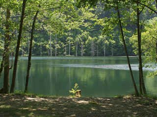 王滝村 自然湖 3