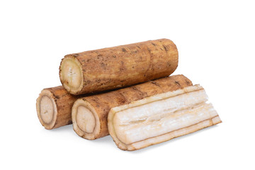 burdock roots or kobo isolated on white background