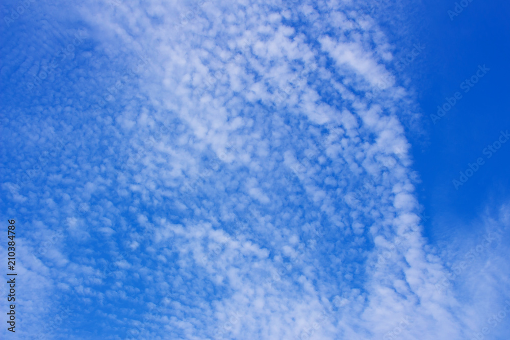 Canvas Prints blue sky background with a tiny clouds