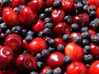 red cherries and black berries