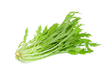 fresh mizuna vegetable isolated on white background