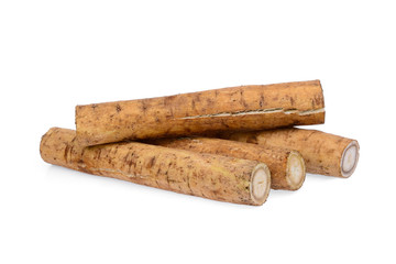 burdock roots or kobo isolated on white background