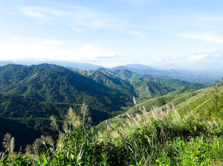 Fototapeta na wymiar Mountain View, Landscape of the valley at Mae Wong National Park, Thailand.