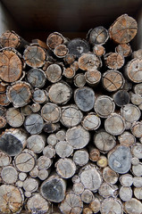 Wood pile