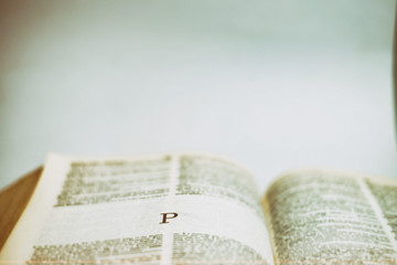 Close up Romans Letter P on Dictionary book