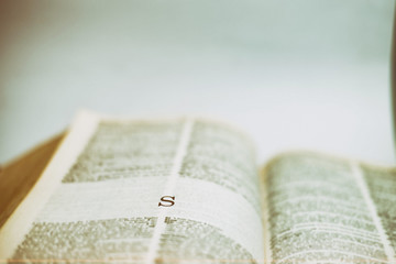 Close up Romans Letter S on Dictionary book