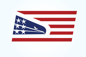 American eagle USA flag logo
